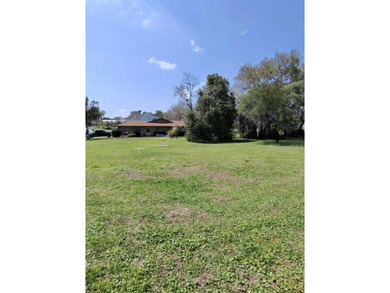 Incredibly rare 4,200+ sqft pool home on the largest lot in the - photo 34