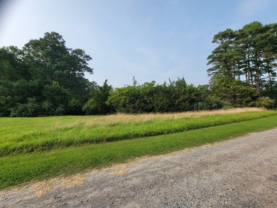 Discover the perfect setting for your Eastern Shore dream home - photo 3