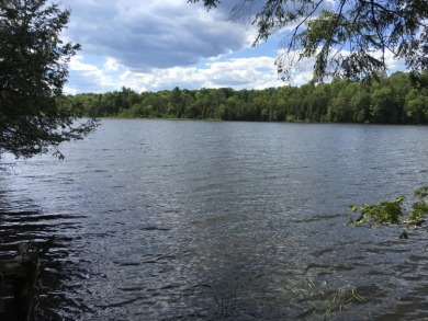 Lake Lot For Sale in Garland, Maine