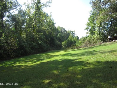 Enjoy country living in a +/- 2,200-sf home conveniently located - photo 19