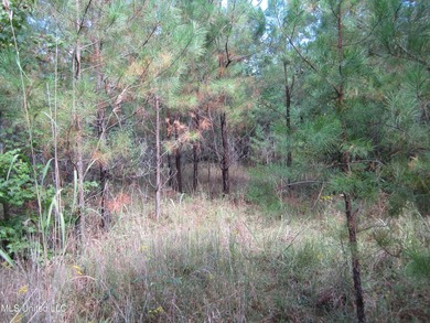 Enjoy country living in a +/- 2,200-sf home conveniently located - photo 20