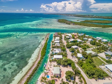 An exquisite opportunity awaits the discerning visionary: a rare - photo 15