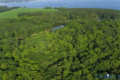 Waterfront Opportunity - 3 Lots Total (1.77 Acres)! Professional - photo 16