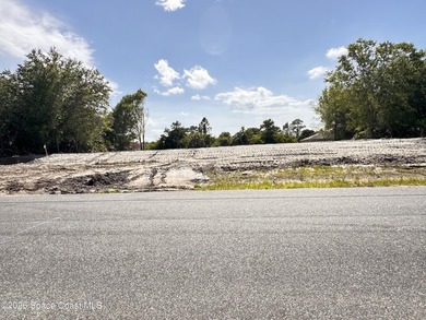 Brand New Custom Construction | 4-Car Garage | .41 Acre Lot | - photo 16