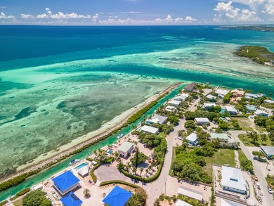 An exquisite opportunity awaits the discerning visionary: a rare - photo 20
