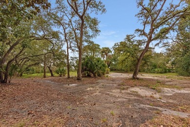 Discover an unparalleled waterfront property offering endless - photo 6