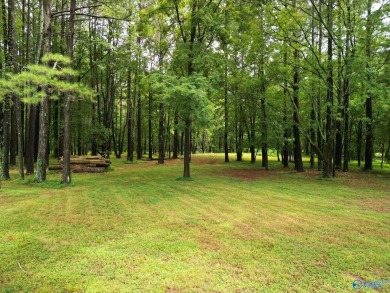 Lake Acreage For Sale in Athens, Alabama