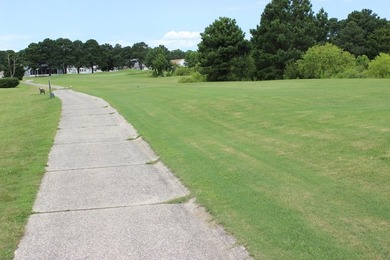 2/337 Cleared, level, oversized (11,406 sq ft.,) golf course lot - photo 3
