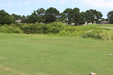 2/337 Cleared, level, oversized (11,406 sq ft.,) golf course lot - photo 4