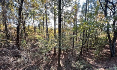 Ski Lake Lot For Sale in Mccalla Alabama