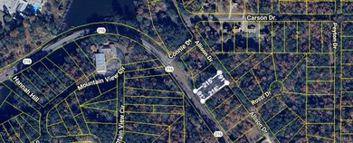 Incredible opportunity to own a beautiful .45-acre lot in the - photo 3