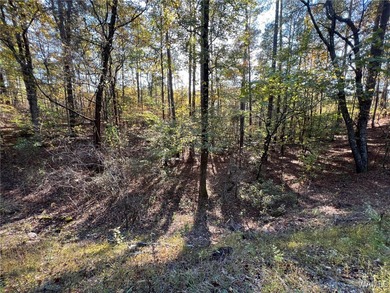 Incredible opportunity to own a beautiful .45-acre lot in the - photo 4