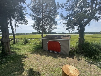 Lot on the creek. Shed and older camper on site. Its all about - photo 3