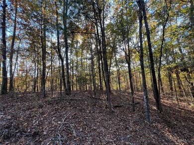 Ski Lake Lot For Sale in Mccalla Alabama