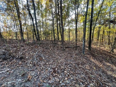 Incredible opportunity to own a beautiful .45-acre lot in the - photo 2