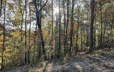 Ski Lake Lot For Sale in Mccalla Alabama