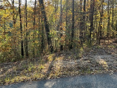 Incredible opportunity to own a beautiful .45-acre lot in the - photo 2