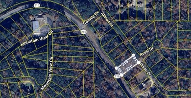 Incredible opportunity to own a beautiful .45-acre lot in the - photo 3