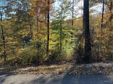 Ski Lake Lot For Sale in Mccalla Alabama