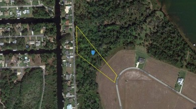 Lake Francis - Highlands County Acreage For Sale in Lake Placid Florida