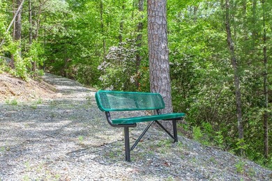 Secluded on Fontana Lake, this modern-mountain, custom-built - photo 11
