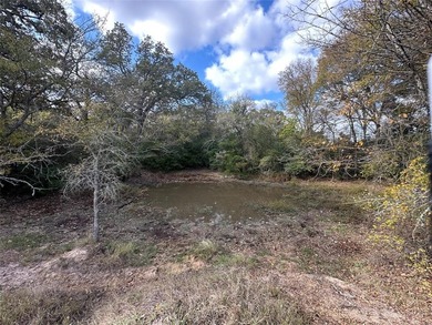 Gorgeous Large Oak Trees on this 90 Acre Ranch with Utilities - photo 18