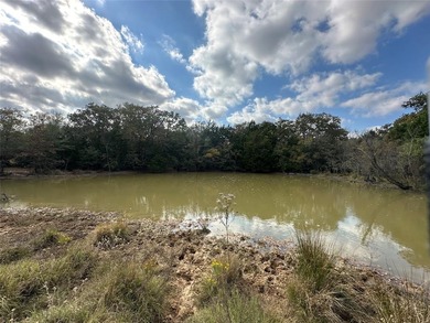 Gorgeous Large Oak Trees on this 90 Acre Ranch with Utilities - photo 21