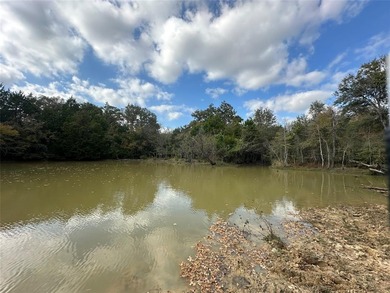 Gorgeous Large Oak Trees on this 90 Acre Ranch with Utilities - photo 22