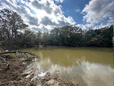 Gorgeous Large Oak Trees on this 90 Acre Ranch with Utilities - photo 24