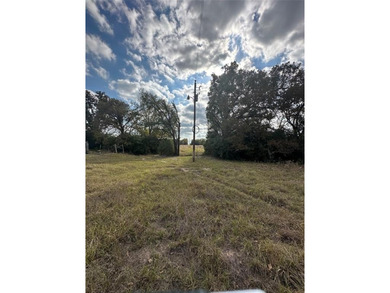Gorgeous Large Oak Trees on this 90 Acre Ranch with Utilities - photo 26