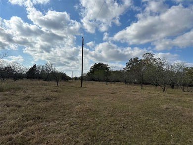 Gorgeous Large Oak Trees on this 90 Acre Ranch with Utilities - photo 29
