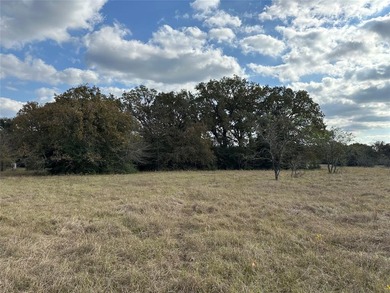 Gorgeous Large Oak Trees on this 90 Acre Ranch with Utilities - photo 30