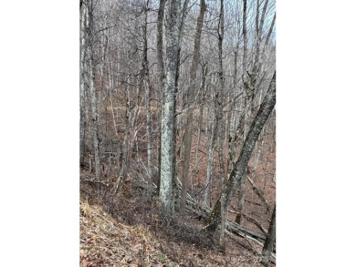 Mars Hill Reservoir Lot For Sale in Mars Hill North Carolina