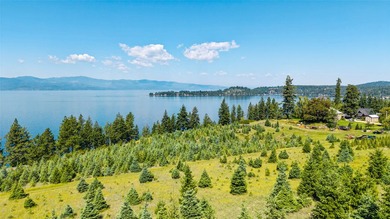 Imagine building your dream home on this stunning 9.17-acre - photo 1