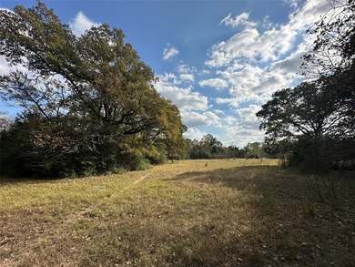 Gorgeous Large Oak Trees on this 90 Acre Ranch with Utilities - photo 31