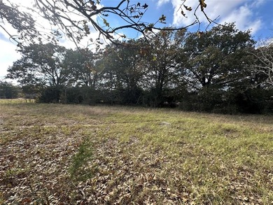 Gorgeous Large Oak Trees on this 90 Acre Ranch with Utilities - photo 32