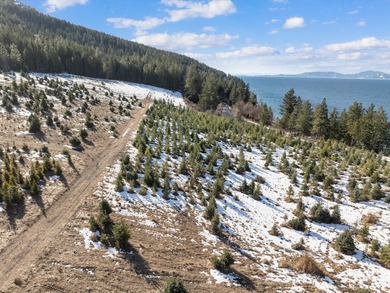 Imagine building your dream home on this stunning 9.17-acre - photo 3