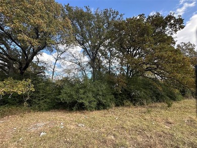 Gorgeous Large Oak Trees on this 90 Acre Ranch with Utilities - photo 35