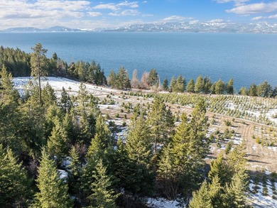 Imagine building your dream home on this stunning 9.17-acre - photo 8