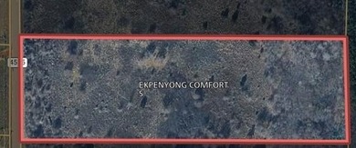 Safari Waters Ranch  Acreage For Sale in Larue Texas