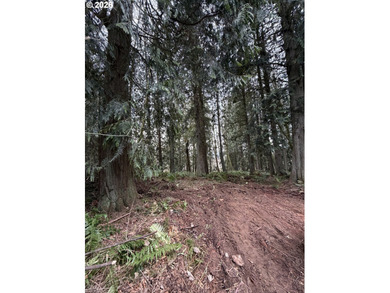 (private lake, pond, coastal) Acreage For Sale in Rainier Oregon