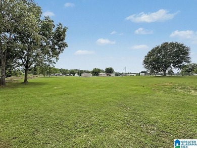 Welcome to your serene Lay Lake retreat! This 3-bed, 2.5-bath - photo 57