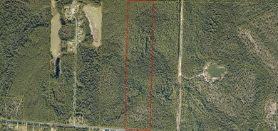 $16,000 PER ACRE FOR 660 FEET OF HWY 20 FRONTAGE! 52 wooded - photo 1