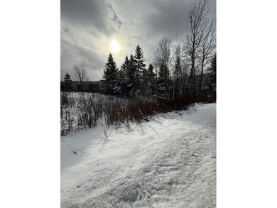 (private lake, pond, creek) Acreage For Sale in Danville Vermont