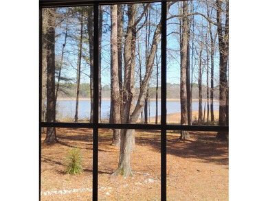 UNIQUE Lake Hartwell two acre retreat featuring a 2,000+ sq ft - photo 20