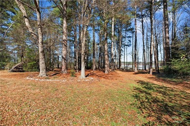 UNIQUE Lake Hartwell two acre retreat featuring a 2,000+ sq ft - photo 23