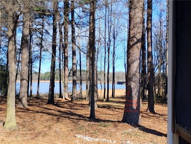 UNIQUE Lake Hartwell two acre retreat featuring a 2,000+ sq ft - photo 24