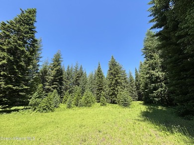 Delightful lakeside cabin on Idyllic 4.9 acres with convenient - photo 40
