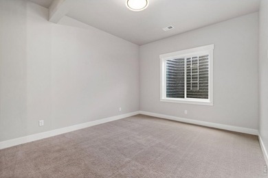 Incredible move-in-ready semi-custom ranch by Haven Builders - photo 33