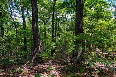 Discover this exceptional 144A+/- acre recreational and hunting - photo 45